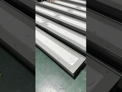 IP66 ATEX औद्योगिक 50w 100w 200w के लिए विस्फोट प्रूफ रैखिक प्रकाश