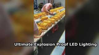 खतरनाक क्षेत्रों के लिए टेम्पर्ड ग्लास के साथ ATEX स्वीकृत IP65 वाटरप्रूफ एलईडी फ्लडलाइट