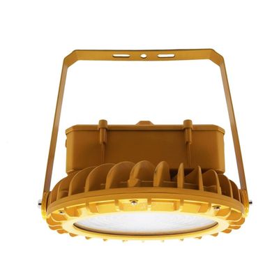 खतरनाक स्थानों के लिए 30W छत पर घुड़सवार IP66 विस्फोट प्रूफ लाइटिंग