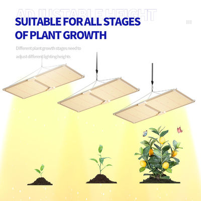 पौधों की वृद्धि के लिए 200W पूर्ण स्पेक्ट्रम डिममेबल एलईडी ग्रो लाइट टी5 ग्रीनहाउस प्रकाश व्यवस्था
