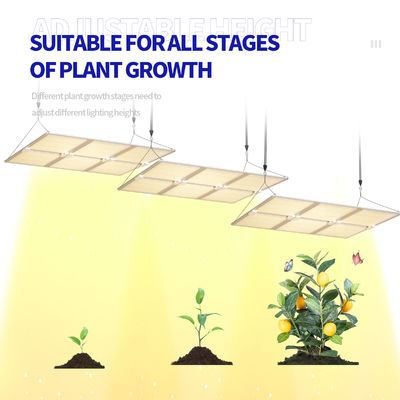 इष्टतम पौधे के विकास के लिए डिमेबल फंक्शन के साथ 600W फुल स्पेक्ट्रम एलईडी ग्रो लाइट