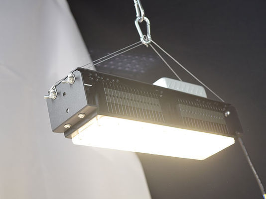 AC85V-265V इनडोर एलईडी ग्रो लाइट्स हाउस प्लांट्स के लिए 50W