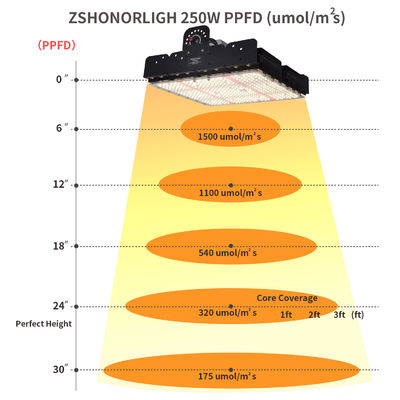 पूर्ण स्पेक्ट्रम T5 इंडोर प्लांट्स के लिए एलईडी ग्रो लाइट 250w