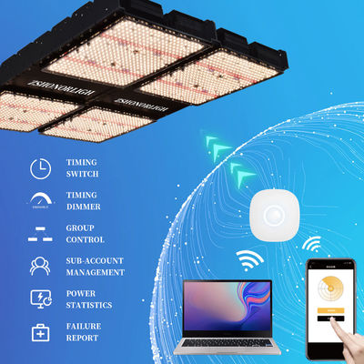 इनडोर पौधों के लिए टाइमर नियंत्रण के साथ 1000W फुल स्पेक्ट्रम डिमेबल एलईडी ग्रो लाइट