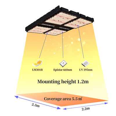 इनडोर पौधों के लिए टाइमर नियंत्रण के साथ 1000W फुल स्पेक्ट्रम डिमेबल एलईडी ग्रो लाइट