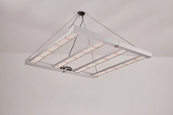 फोल्ड करने योग्य 4T एलईडी ग्रो लाइट 600W 800W वाणिज्यिक के लिए