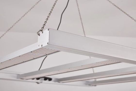 वाणिज्यिक पौधे की खेती के लिए फोल्डेबल 600W फुल स्पेक्ट्रम एलईडी ग्रो लाइट
