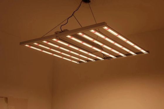 फोल्ड करने योग्य 8T ग्रीनहाउस ग्रो लाइट्स 800W 1000w एचपीएस