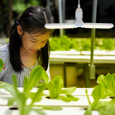 इनडोर पौधों के विकास के लिए पूर्ण स्पेक्ट्रम + 660nm और IP68 वाटरप्रूफ के साथ कॉम्पैक्ट एलईडी ग्रो लाइट