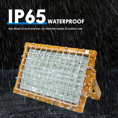 SMD2835/3030 100-110lm/W LED फैक्ट्रियों के लिए विस्फोट प्रूफ लाइटिंग