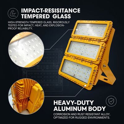 50000H लंबी-आयु 300W LED विस्फोट-रोधी फ्लड लाइट 30 60 90 बीम LUMILEDS LM-80 ATEX IIb T6 IP65 खतरनाक फिक्स्चर