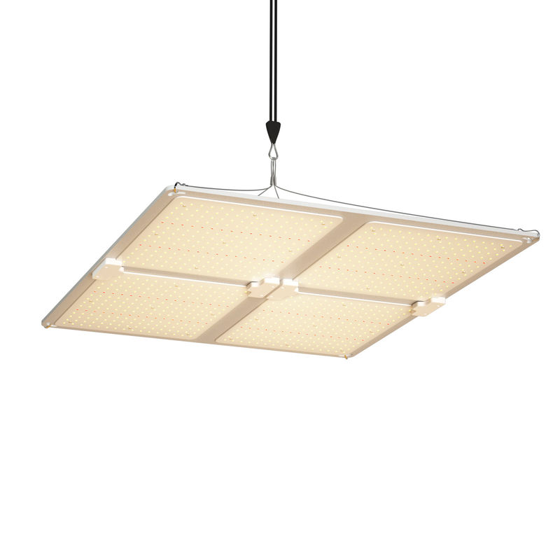 400W पावर आउटपुट फुल स्पेक्ट्रम एलईडी ग्रो लाइट इंडोर प्लांट ग्रोथ के लिए समायोज्य लटकन ऊंचाई के साथ