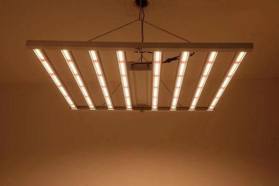 फोल्ड करने योग्य 8T ग्रीनहाउस ग्रो लाइट्स 800W 1000w एचपीएस